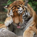 toemarz 18+ Discord server icon