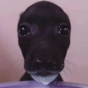 Femboy Lovers Server Icon