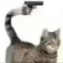 ALX Comunity • Social & Gaming discord icon