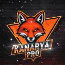 CS1.6 |  KANARYA PRO