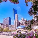 Chicago & chill 18+ Discord Server Icon