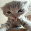 sleepy ೃ༄* Discord server icon