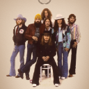 free birds (Lynyrd Skynyrd community) Discord server icon