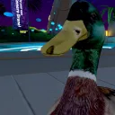 HATER GATERS (discord group)