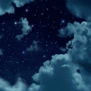 ⋆˙⟡ ⋆.˚ 𝑫𝒂𝒓𝒍𝒊𝒏𝒈 𝑺𝒕𝒂𝒓𝒔 ⊹₊⟡ ⋆ Discord server icon