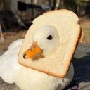 🍰 Tiệm bánh Vịt