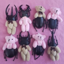 ୨୧ creepycute Discord server icon