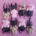 ୨୧ creepycute
