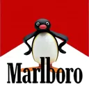 marlborong penguin