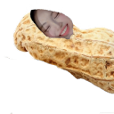 정땅콩월드