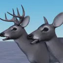 North American Survival (NEW!)