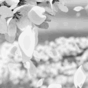 𖥸𝙋𝙎𝙔𝘾𝙃𝙊𝙎𝙄𝙎𖥸 Discord server icon