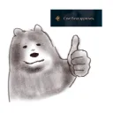 The Bear Cave