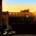 𓂃⋆.˚𝑺𝑨𝑵𝑪𝑻𝑰𝑶𝑵𝑬𝑫™ Discord server icon