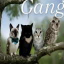 Bad music fanclub Discord server icon