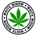 [ybn.world] White Widow 🍃