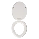 Stool Sluts discord icon