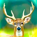 Selva Oscura Discord Server Icon