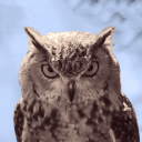 The Aviary Discord server icon