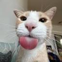 AWESOME SAUCE COMMUNITY. (R...