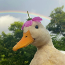 Silly Gooses Anonymous Discord server icon