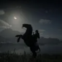 Red Dead Redemption Shenanigans