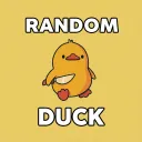 Random Duck Studio