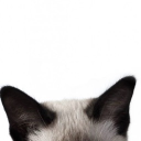 ★ ‧ haello 🐾 ᐟᐟ   ˚.୨୧˚ Discord server icon