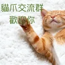 貓爪商城