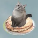 vantycc