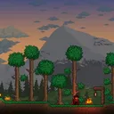 The Bonfire