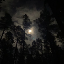 Midnight confessions 🖤 Discord server icon