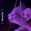 𝒾𝓃𝑜𝓁𝒶