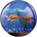 ° .• . The Aquarium° .• .