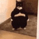 Solo Snacking Discord server icon