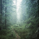 Conlang Fun! Discord server icon