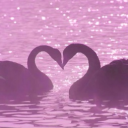 ♡ᴄᴜᴘɪᴅs ᴀʀʀᴏᴡ♡ • Pairing Discord server icon