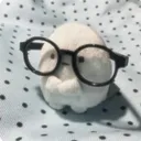 ✿duckou✿