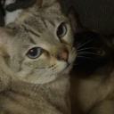 𝕷𝖔𝖛𝖊 𝖒𝖊 Discord server icon