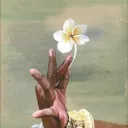 LIFE AT THE ISLE. Discord Server Icon