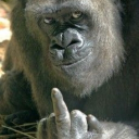 Diddy Haven Discord server icon