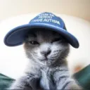 chat & chill ♢