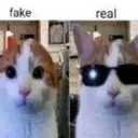 CÄT SMP '26