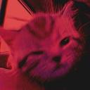 blꚙd ✰ʼ guild tags • social...