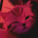 blꚙd ✰ʼ guild tags • social • giveways • active • chill • fun 🩸's icon