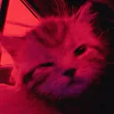 blꚙd ✰ʼ guild tags • social • giveways • active • chill • fun 🩸's icon