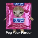 Peg Your Pardon Discord server icon