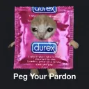 Peg Your Pardon