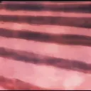 /animetok #AURAMONSTER Discord Server Icon