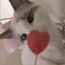 ＞＜✶﹒﹒⛸